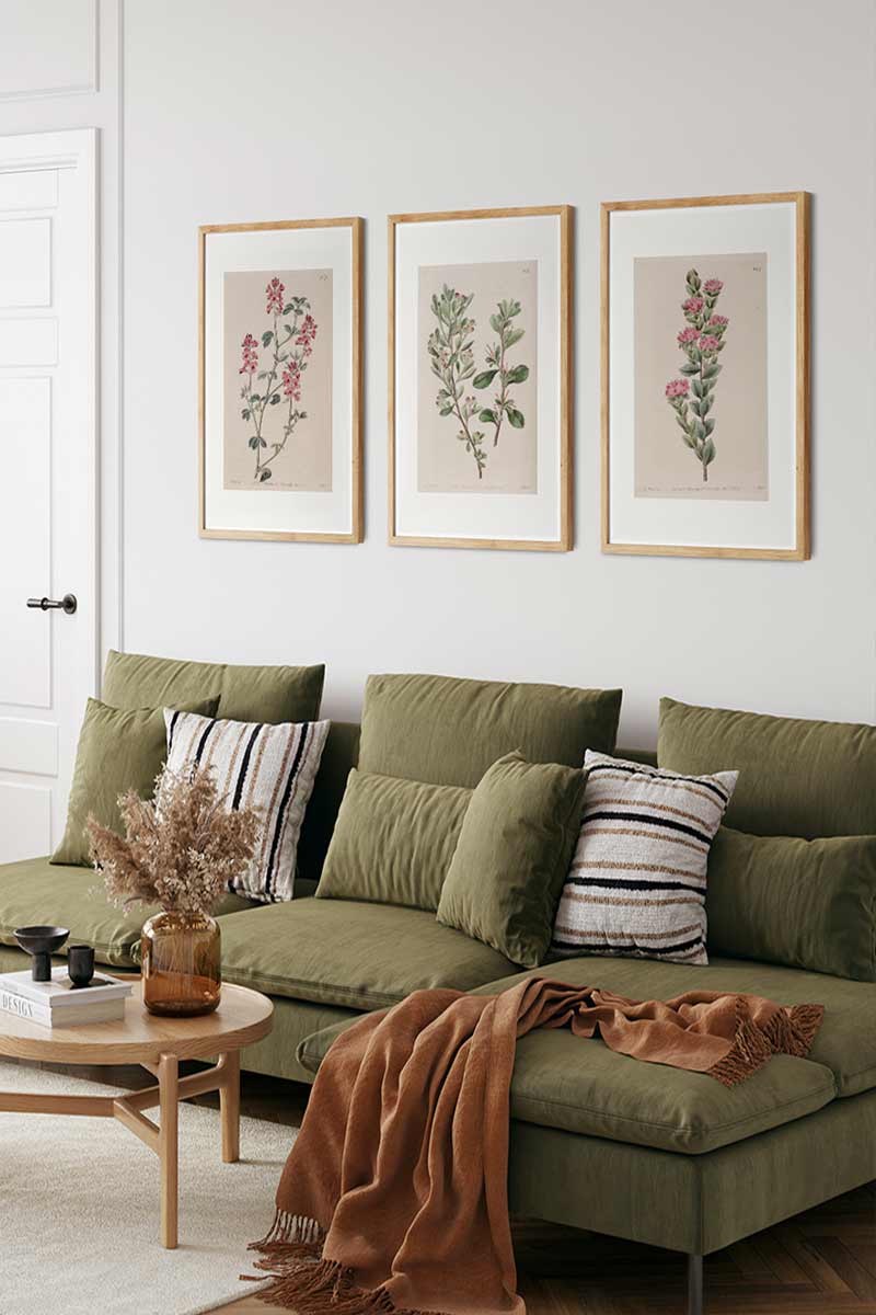 Set de 3 Láminas Edwards... 2