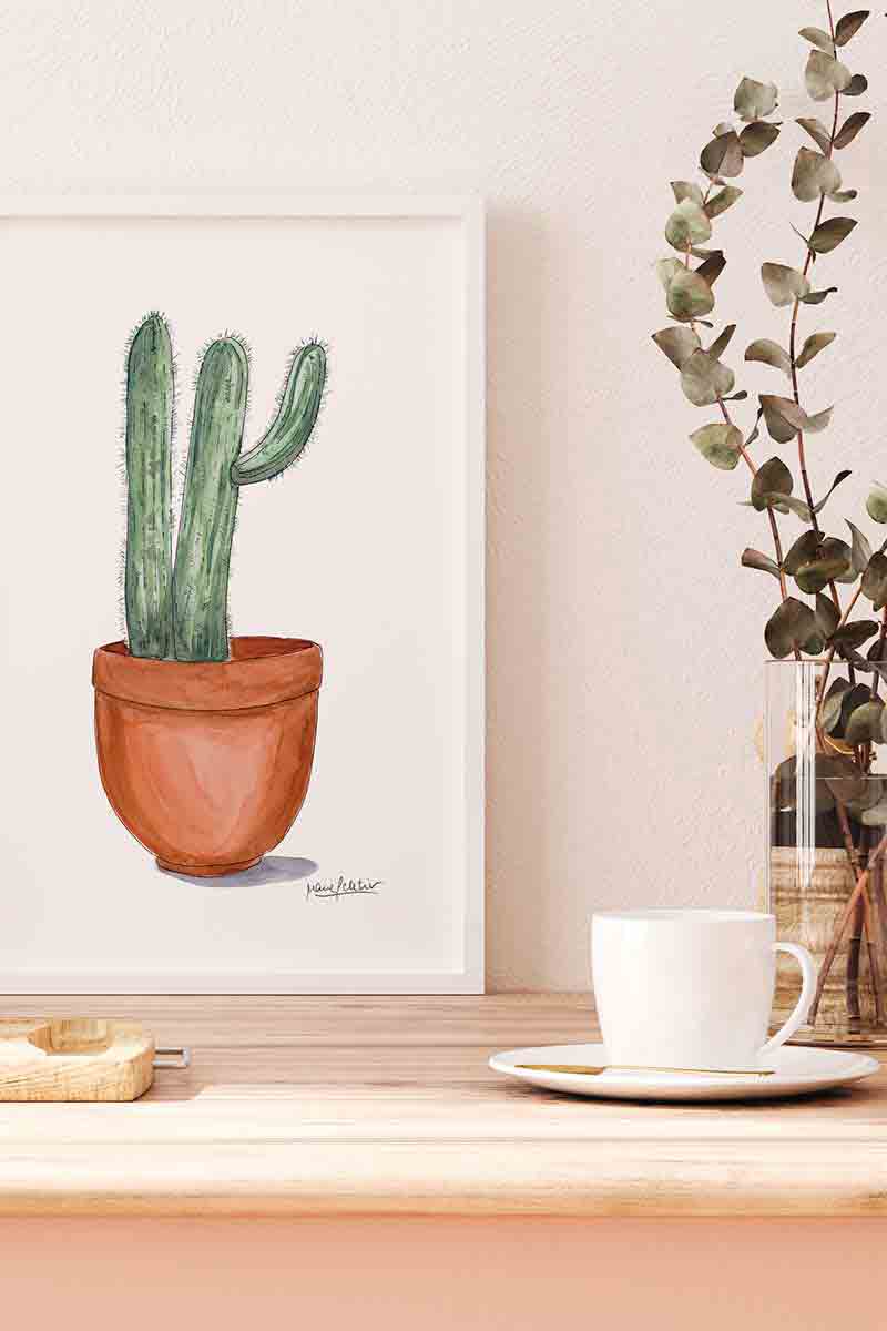 Cactus Peletier Barro 2