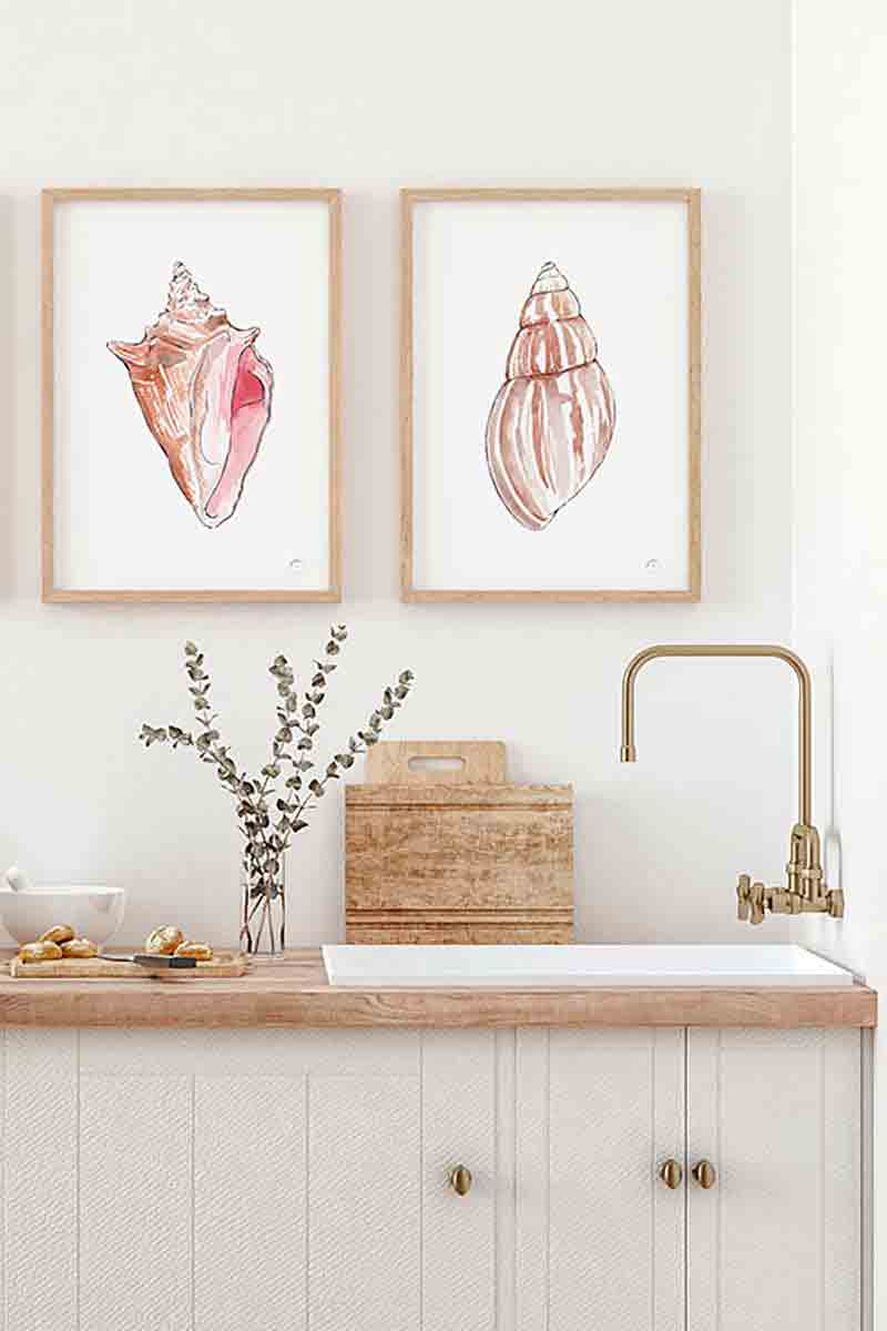 Caracola Rienzi II 2