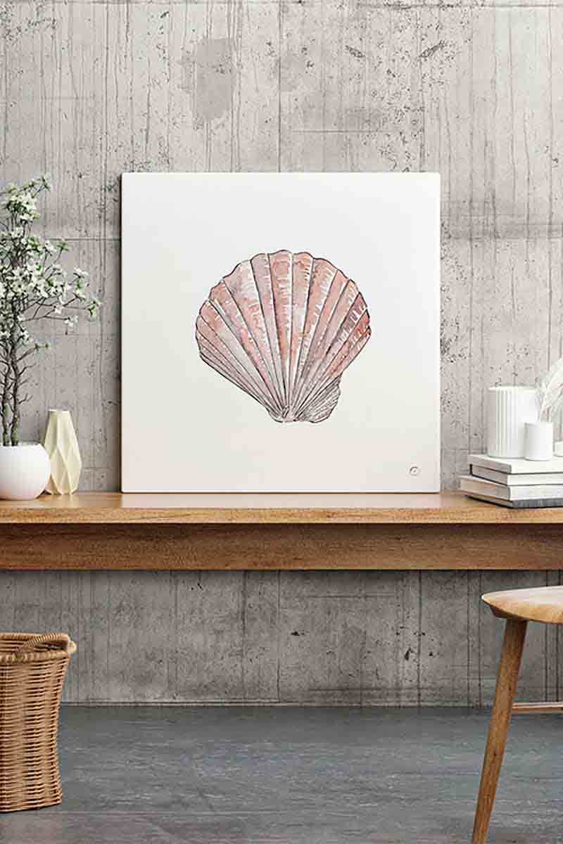 Conchas Rienzi III 2